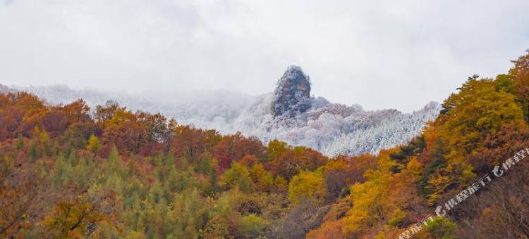 本溪县居枫缘农家院图片