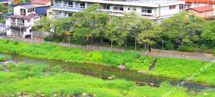 清流荘酒店(Seiryuso)图片