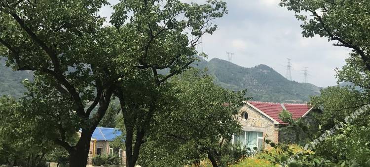 淄博半山杏舍山居图片