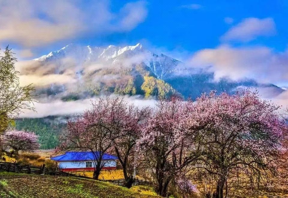 Bomi Yunsan Residence B&B (Gang Yunsan Forest Scenic Area Store) Hotel Overview