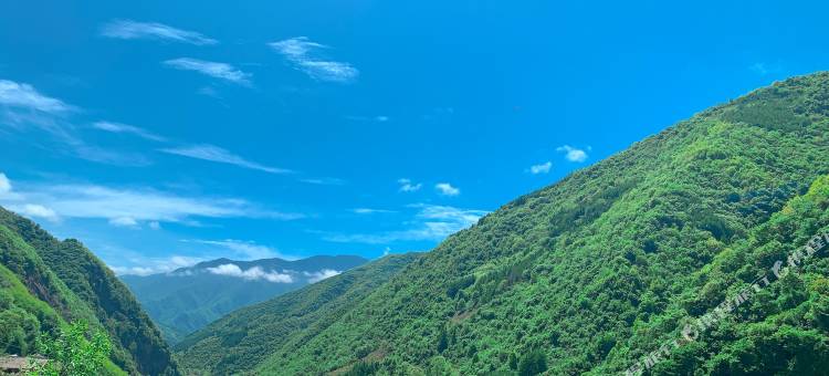 归园田居民宿图片