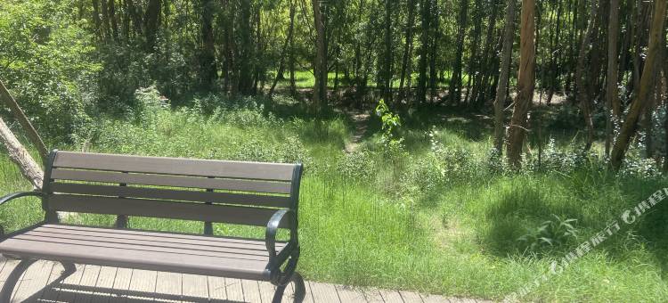 大理斯维登度假公寓(洱海龙湾)图片