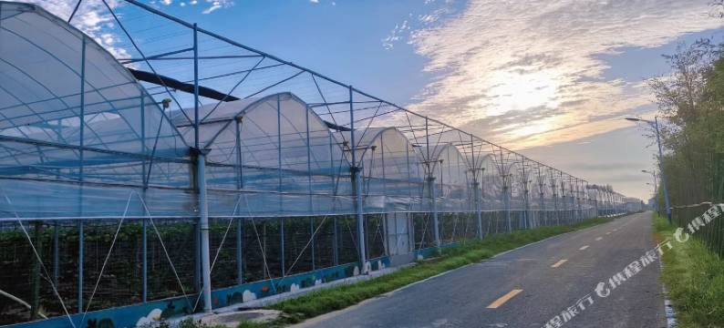 东台喜马拉雅野奢帐篷露营地图片