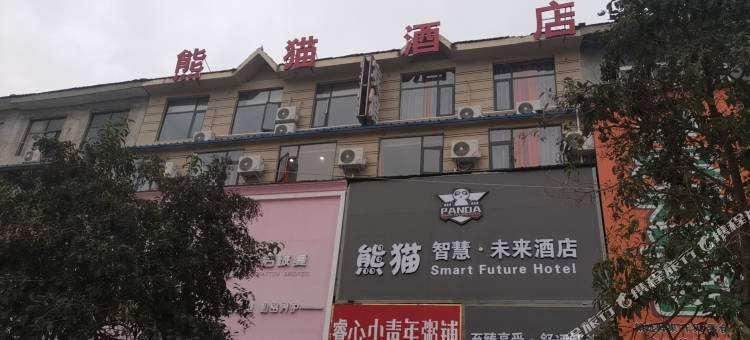 熊猫智慧•未来酒店图片
