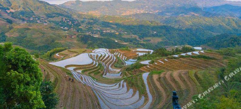 龙脊梯田日出·观光酒店(观景台店)图片