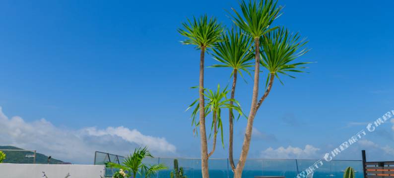 深圳鹭遇·云巅空中花园美宿(海贝湾店)图片