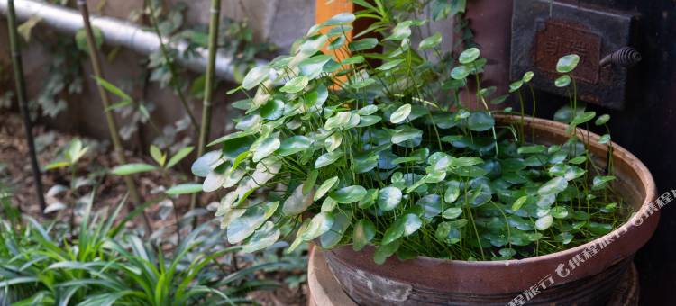 花筑·游途小巷套房民宿(华山景区游客中心店)图片