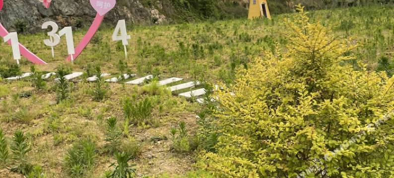 横店丽宫民宿图片