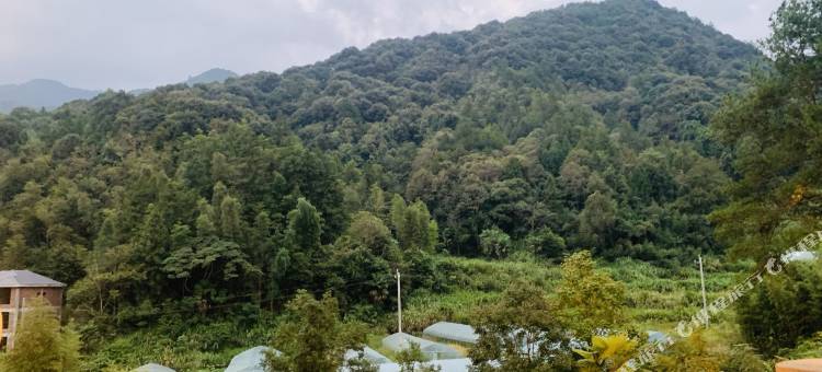 三清山林韵山居民宿图片