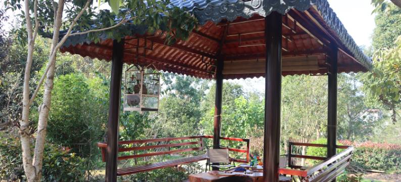 钟祥揽月民宿图片