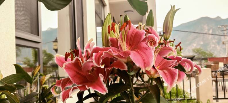 野三坡一半别院民宿图片