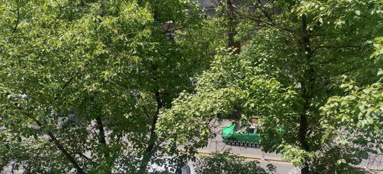 涪陵龙芝尊宾馆(白鹤梁水下博物馆店)图片