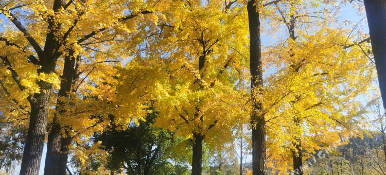 长兴望雅千怡民宿(八都岕景区游客中心店)图片