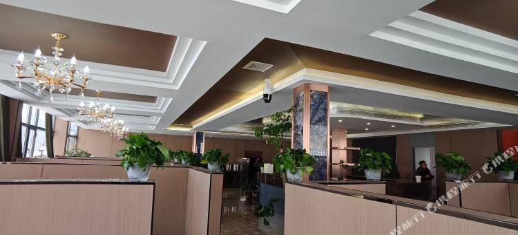 杂多振兴大酒店图片