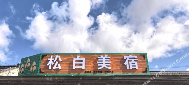 塞罕坝松白美宿图片