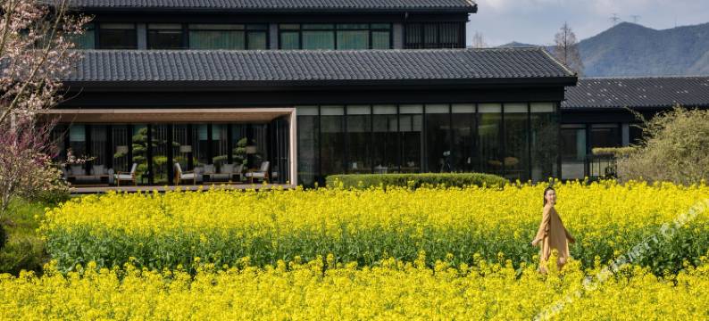 安吉柏翠姚良度假酒店图片