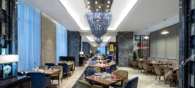 郑州东站泰宏文森特国际酒店图片