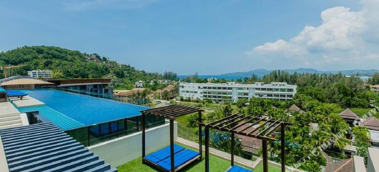 The Aristo by Holy Cow 420图片