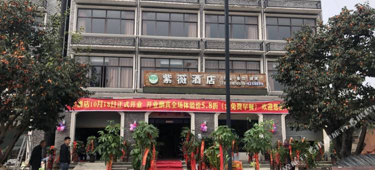 颍上紫薇酒店图片