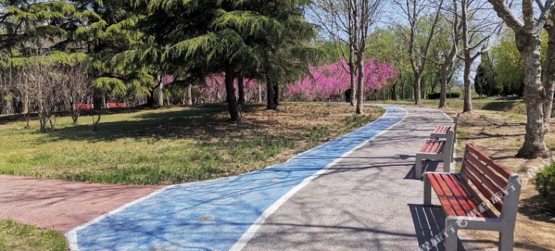 白玉兰酒店(青岛世界博览城店)图片