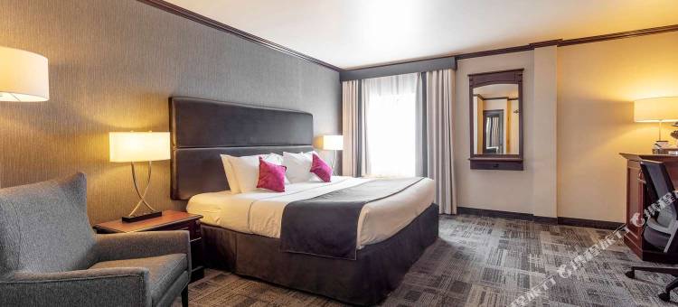 魁北克城中心贝斯特韦斯特优质酒店(Best Western Plus City Centre/Centre-Ville)图片