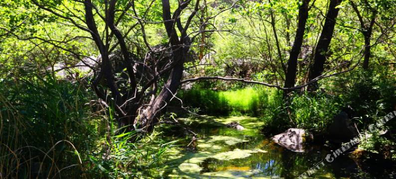 柒屿·灵溪诺雅私汤民宿图片