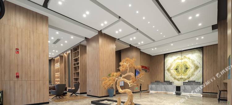 青年阳光酒店(厦门翔安文教园店)图片