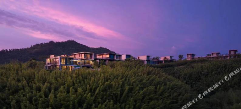 Aninn江南·云墅民宿(安吉桃花源店)图片