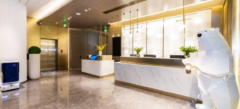 星程酒店(西安行政中心市中医医院地铁站店)图片