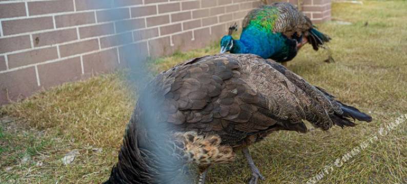 上海宽居云涧花园酒店(松江云间粮仓云间艺术谷店)图片
