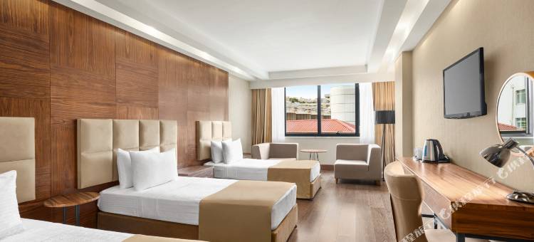 温德姆华美达广场酒店-萨姆松(Ramada Plaza by Wyndham Samsun)图片