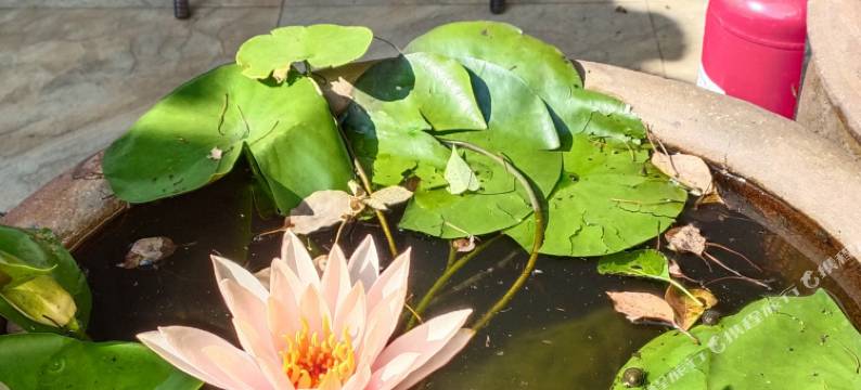 同里羽墨客栈(苏州同里古镇店)图片