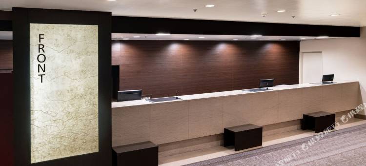 ART新泻站前酒店(Art Hotel Niigata Station)图片