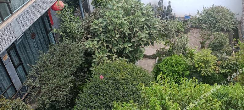 丽江萱琪客栈图片