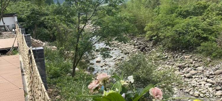 栖谧揽山·书香茶室·全屋木制民宿图片