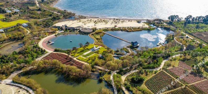 抚仙湖老表家客栈图片