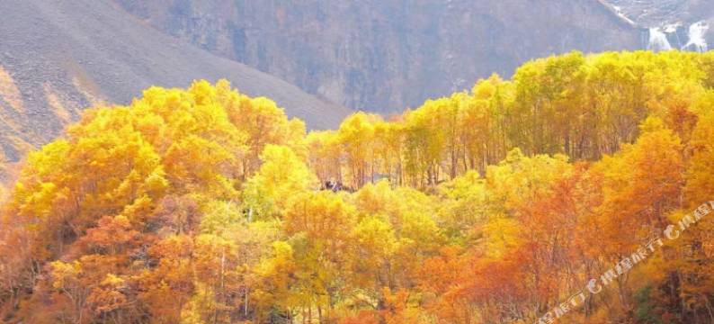 长白山吉祥时尚宾馆图片