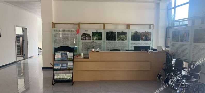 大崎山森林康养基地图片