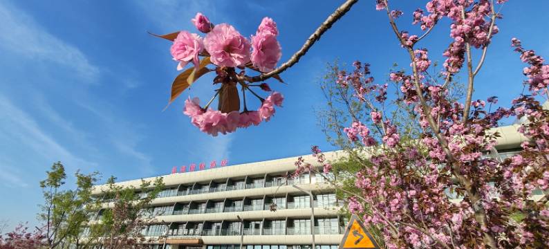 美景国际酒店(青岛红岛国际会展中心康复大学店)图片