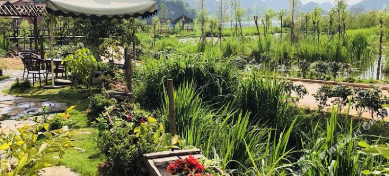 普者黑夏沫莲香湖景民宿图片