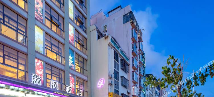 麗枫酒店(三亚三亚湾吉祥街有轨电车站店)图片