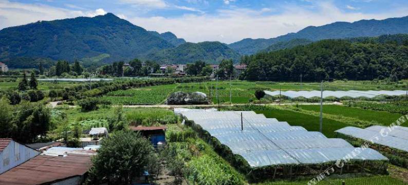 永康大陈春花小院民宿图片