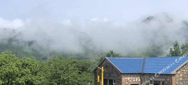 淄博半山杏舍山居图片