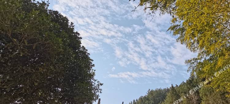 婺源康源山庄图片