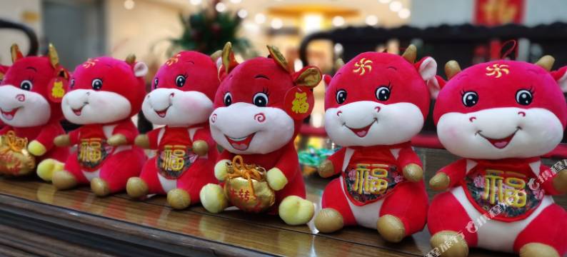 枣庄颐正园图片