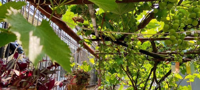 泰城往事青年旅舍(泰安岱庙店)图片