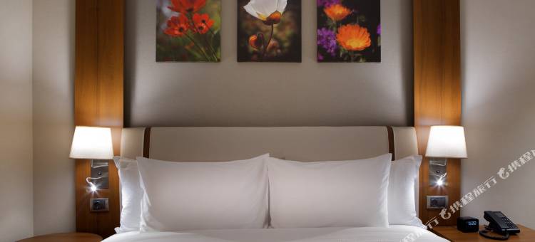 伊斯坦布尔贝利克杜祖希尔顿花园酒店(Hilton Garden Inn Istanbul Beylikduzu)图片