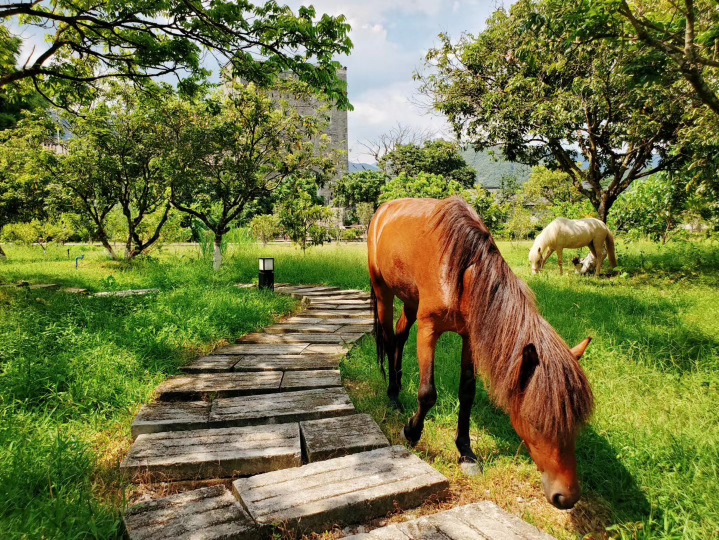 Deng Stone House Pastoral Resort Over view