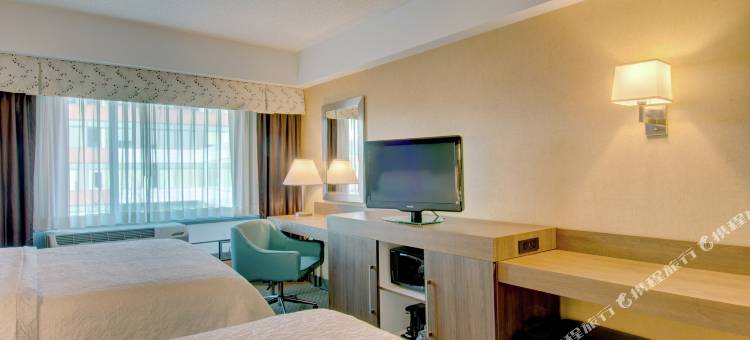希尔顿欢朋套房酒店-波士顿市中心(Hampton Inn & Suites Boston Crosstown Center)图片