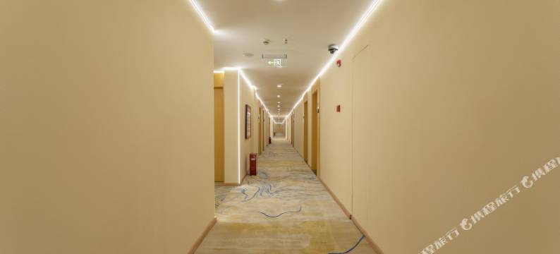 汉莱斯智慧酒店(上海朱泾东林寺店)图片